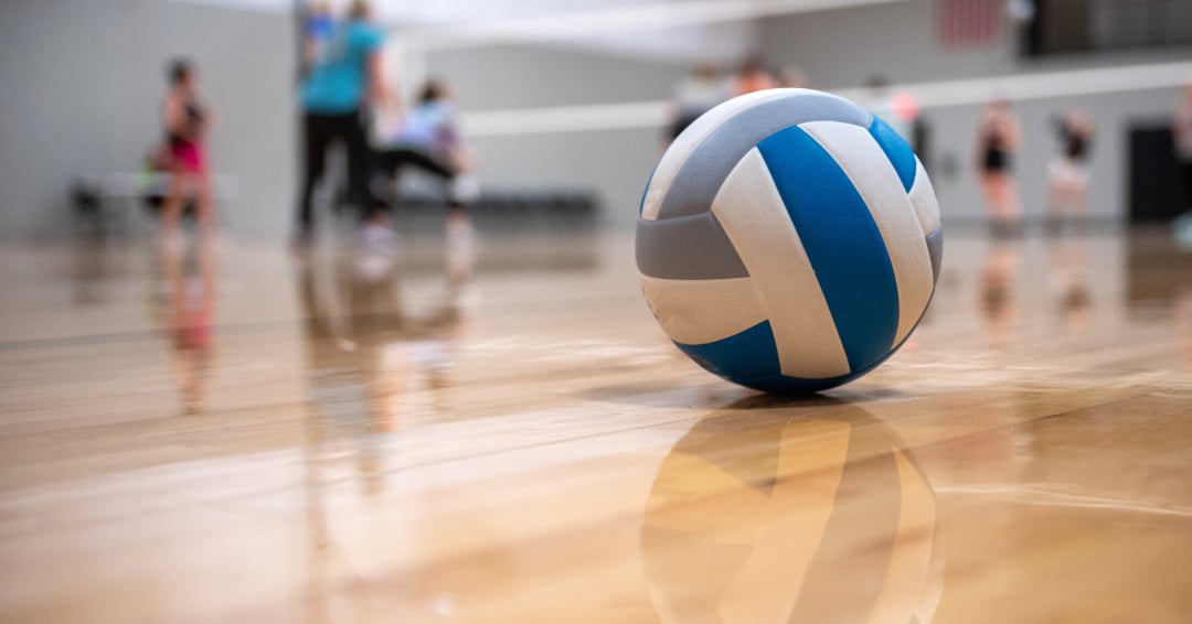 Volleyball image